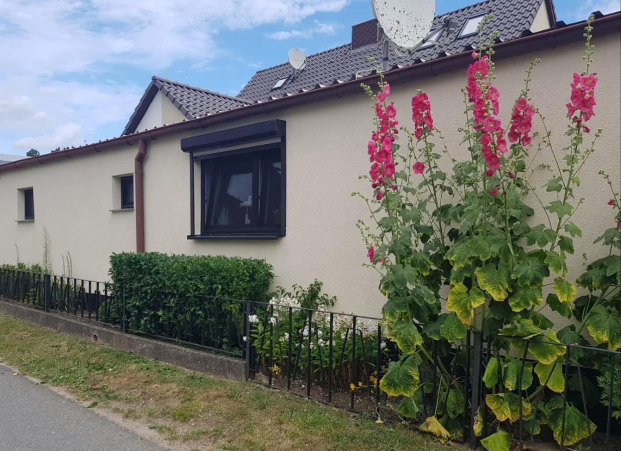 Ferienhaus An Der Ostsee Rerik Exterior foto